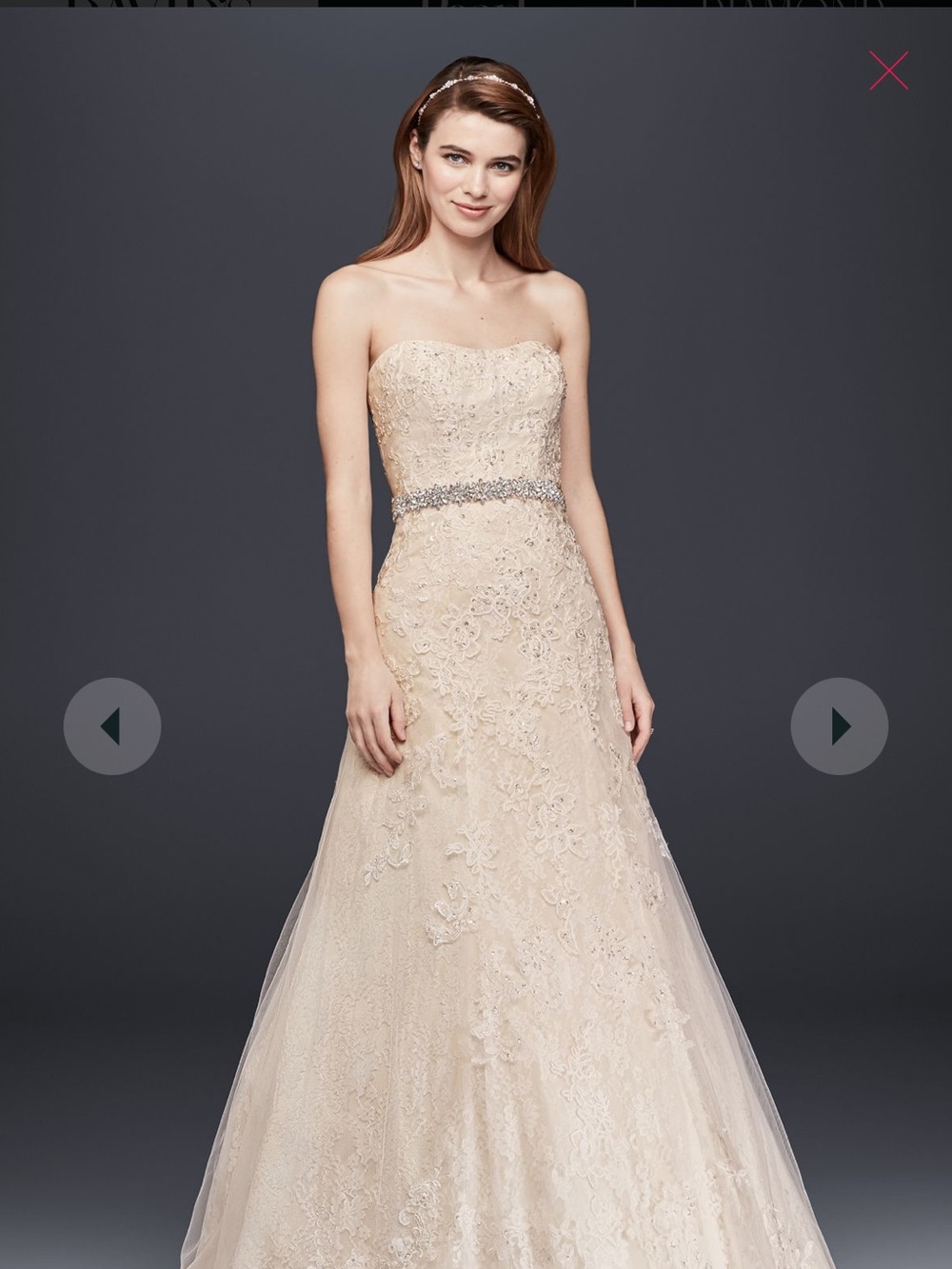 Champagne Lace Strapless Bridal Gown